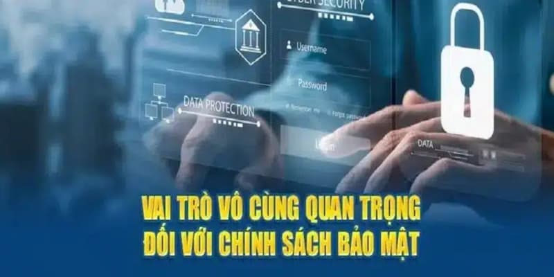 Vai trò của chính sách