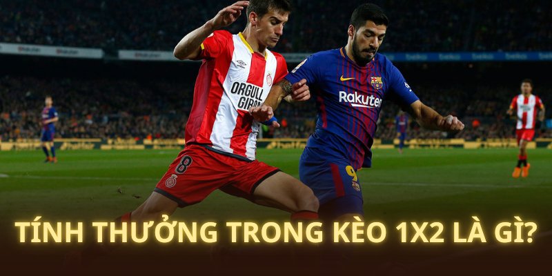 Tính thưởng đối với tỷ lệ 1x2 thường có trong túc cầu 